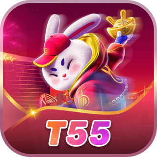 t55 Gaming Experience